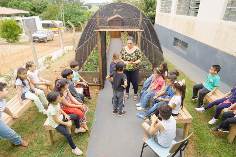 Escolas de MS podem receber até R$ 100 mil para projetos ligados à natureza e sustentabilidade