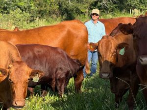 Feicorte 2026 abre programação com painel feminino sobre inovação, produção e consumo de carne