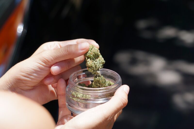 Importações de cannabis medicinal superam 18 mil em maio e mantêm mercado em alta no Brasil