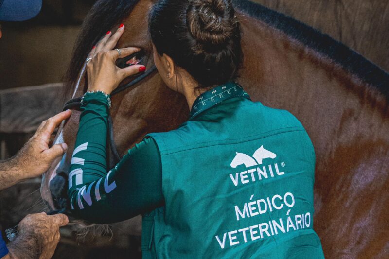Vetnil reforça compromisso com a medicina veterinária equina durante conferência nacional da ABRAVEQ