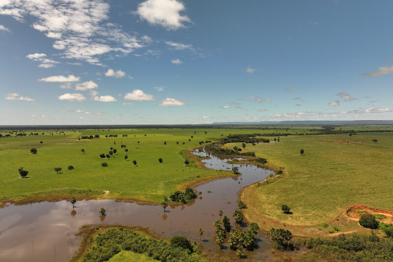 Parceria internacional aposta na agricultura regenerativa para transformar o Cerrado brasileiro