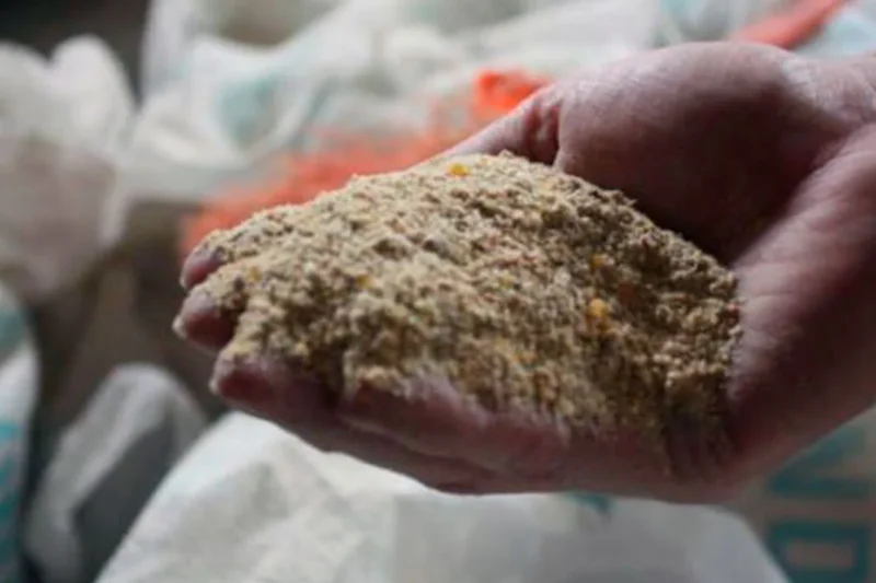 Alimentação animal cresce 5,4% no primeiro trimestre de 2026