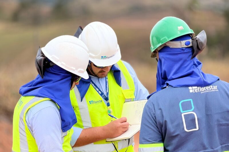 Mecanização transforma operações e amplia eficiência no setor florestal