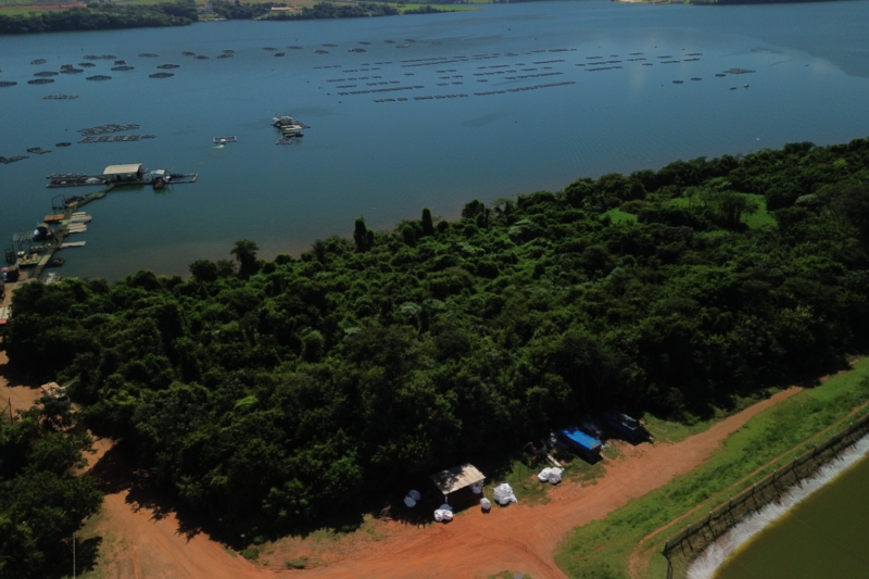 Produção sustentável de tilápia alia preservação ambiental e inovação em represa entre São Paulo e Minas Gerais