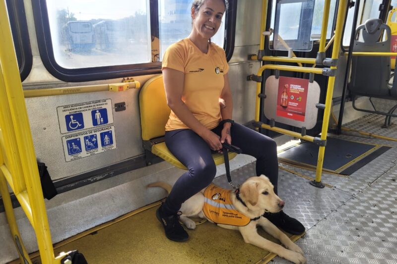 BRT Sorocaba e Instituto Adimax treinam cães-guia para uso no transporte coletivo