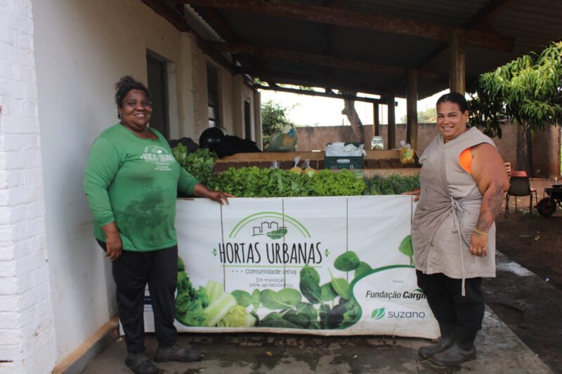 Famílias de Três Lagoas movimentam R$ 163,8 mil com hortaliças produzidas em projeto apoiado pela Suzano