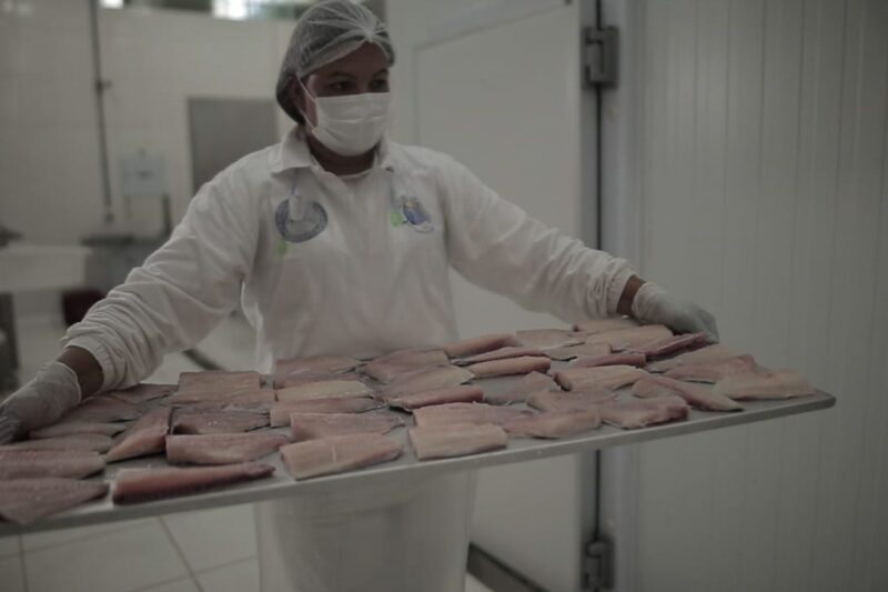 Semana do Pescado impulsiona vendas em até 35% e aumenta procura por produtos prontos para o preparo
