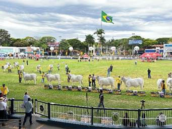 Expoinel 2026 abre inscrições para mais de mil animais em Uberaba