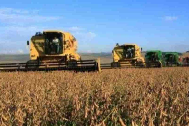 Embrapa orienta produtores sobre impactos do El Niño na safra 2026/2027